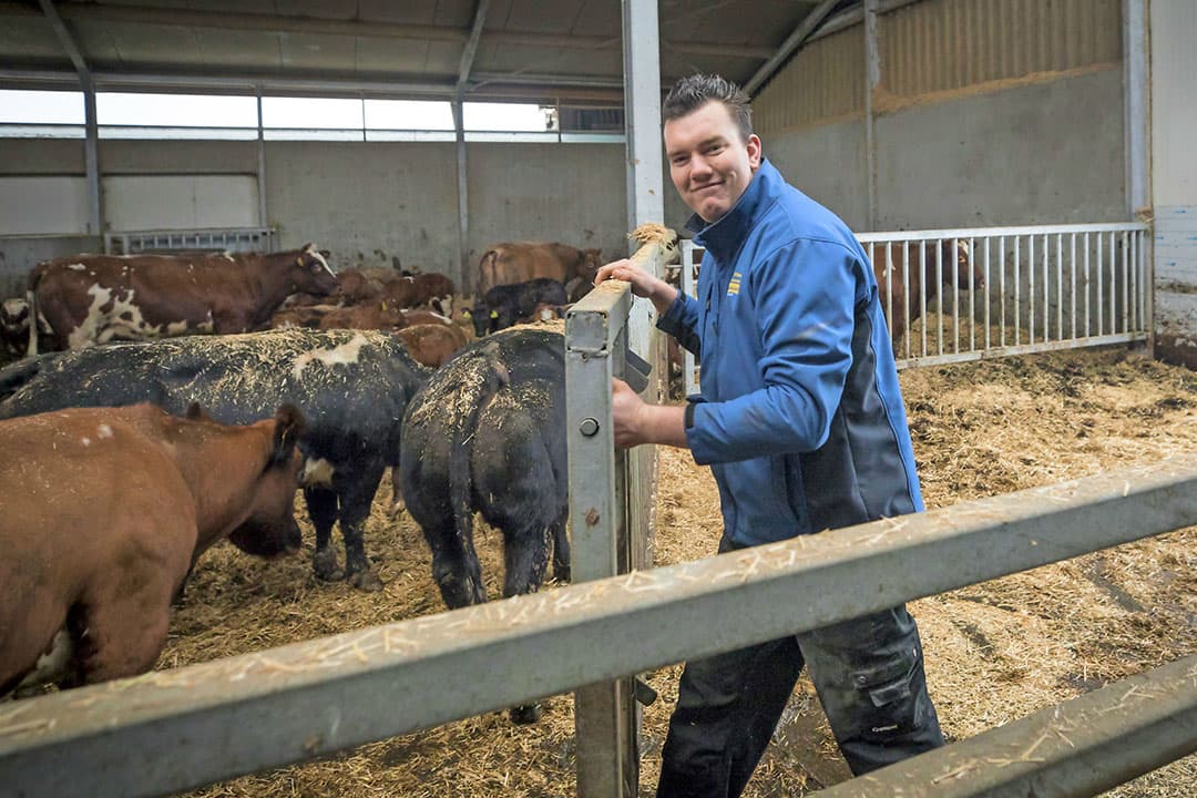 Foto: Koos Groenewold