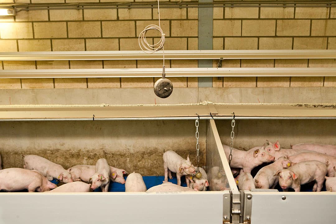 Foto: Bart Nijs