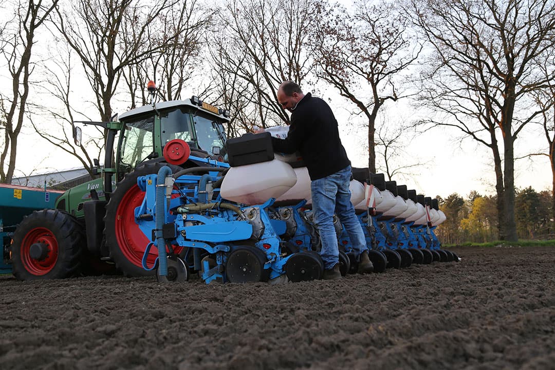 De vraag naar zeer vroege rassen is nog groter dan vorig jaar, zo ervaren de maiskweekbedrijven. - Foto: Matthijs Verhagen