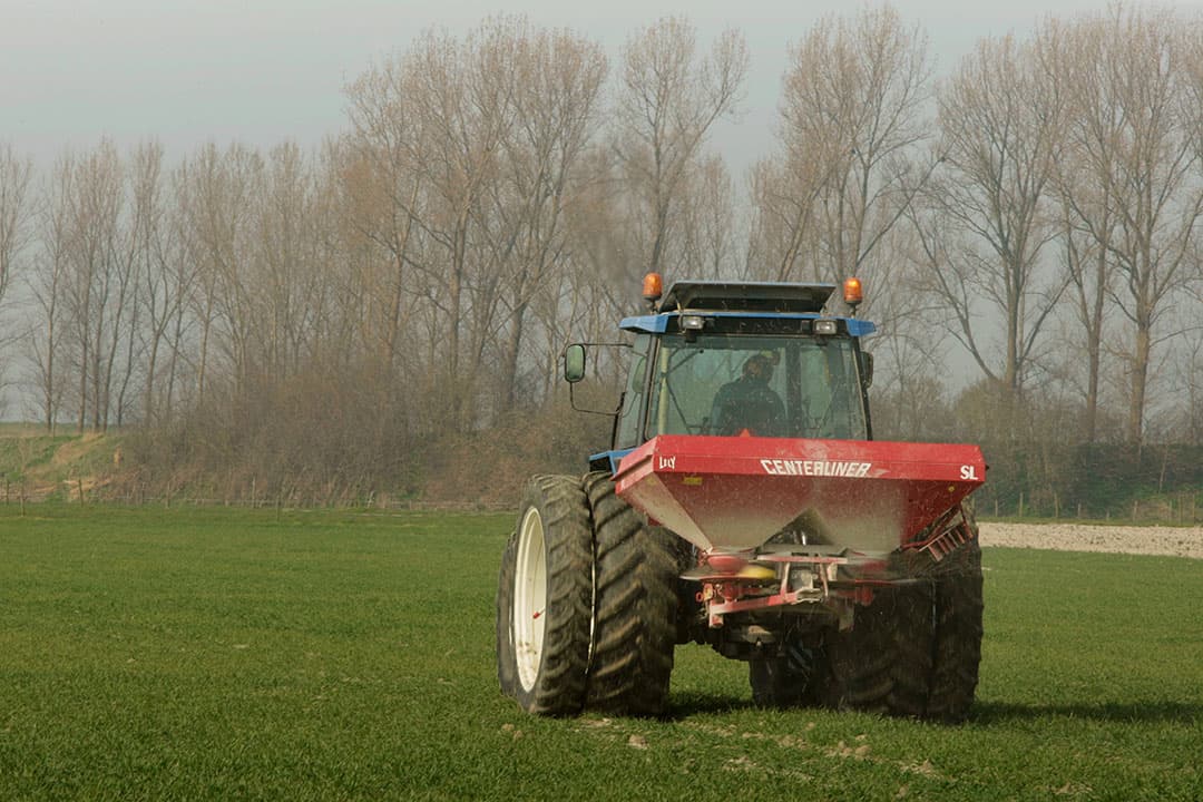 Foto: Koos Groenewold