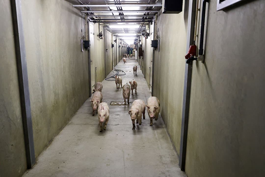 Foto: Bert Jansen