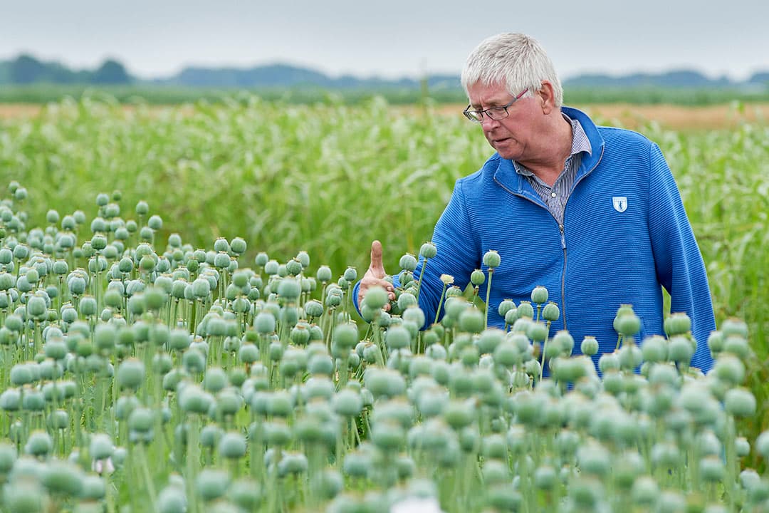 Foto: Van Assendelft