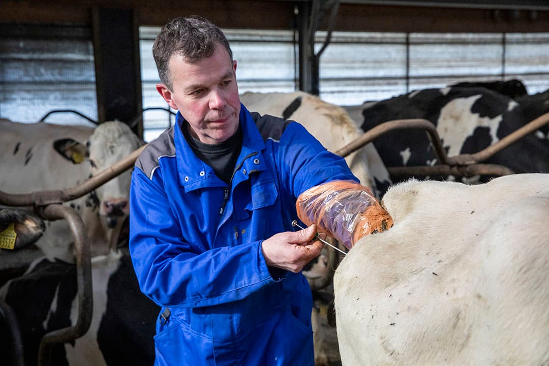 Foto: Anne van der Woude