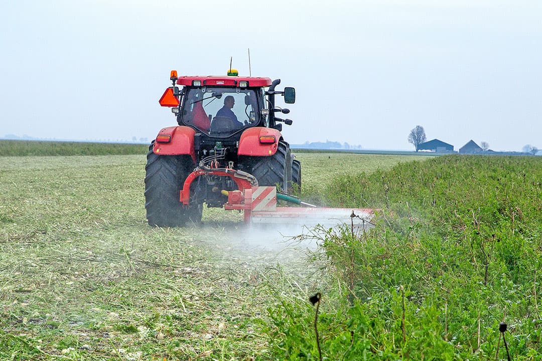 Een akkerbouwer klepelt een groenbemester. Een groenbemester verhoogt het organische stofgehalte in de grond waardoor CO2 wordt vastgelegd. - Foto: Koos van der Spek