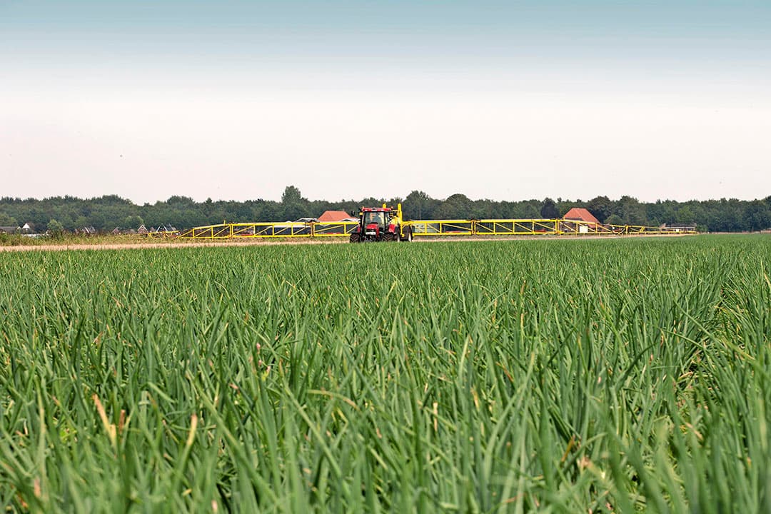 Een akkerbouwer spuit zijn uiengewas. Waterschap vechtstromen wil geen uienteelt meer op zijn pachtgrond.