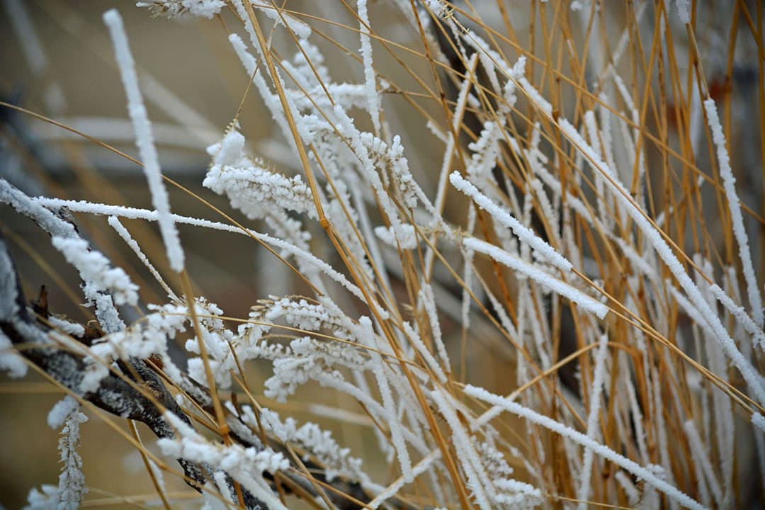 Foto: Canva