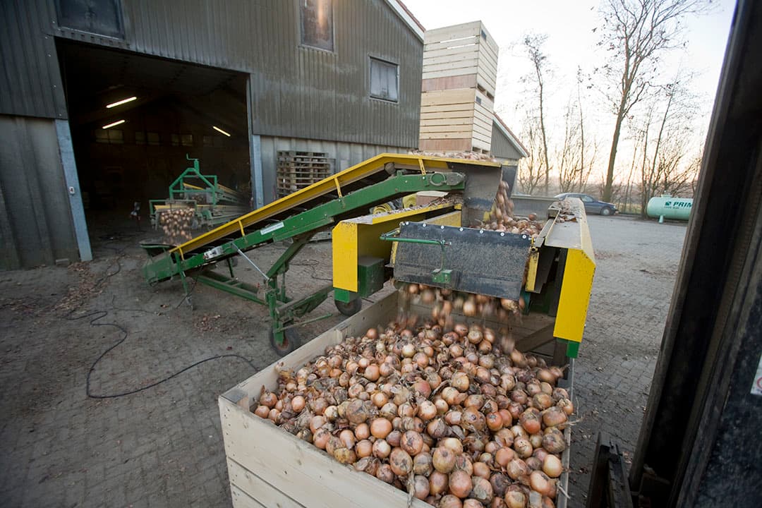 Foto: Koos Groenewold