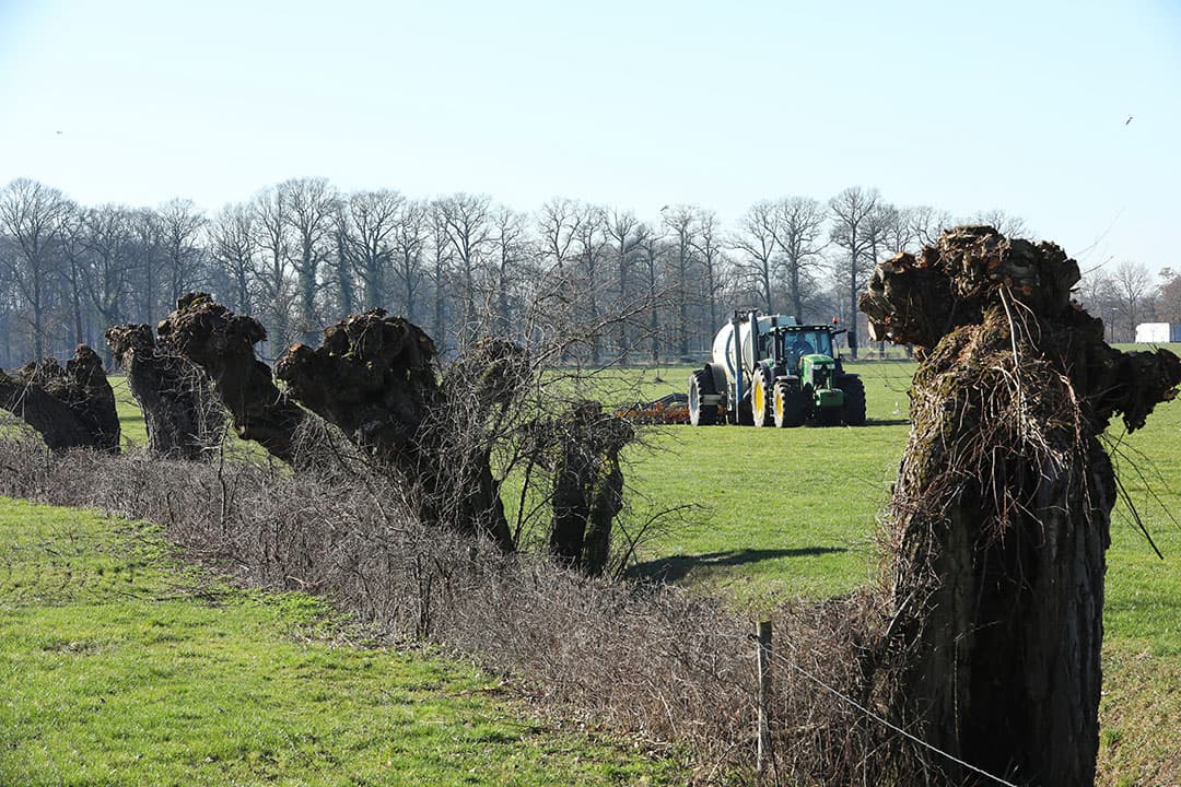 Foto: Henk Riswick