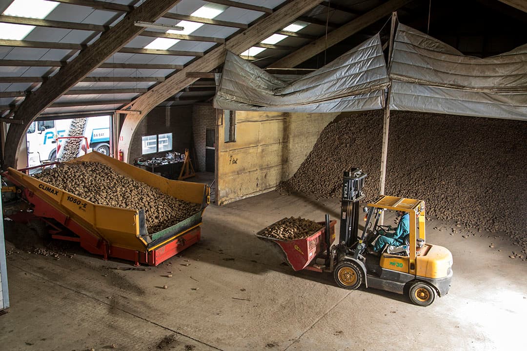 Laden van aardappelen uit de bewaring. - Foto: Koos Groenewold