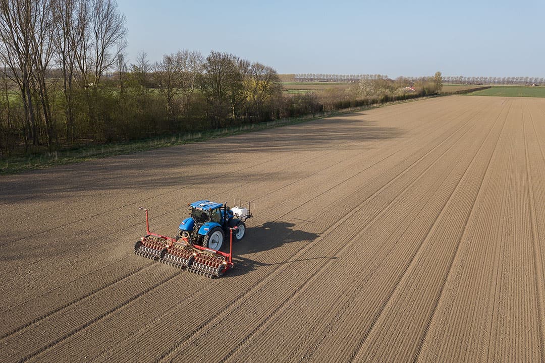 Het zaaien van uien. - Foto: Peter Roek