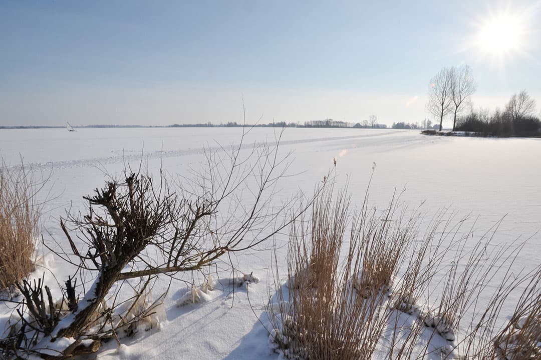 Winter in Friesland. - Foto: Canva