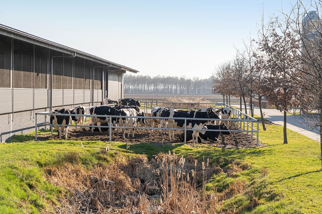 Foto: Jan Willem Schouten
