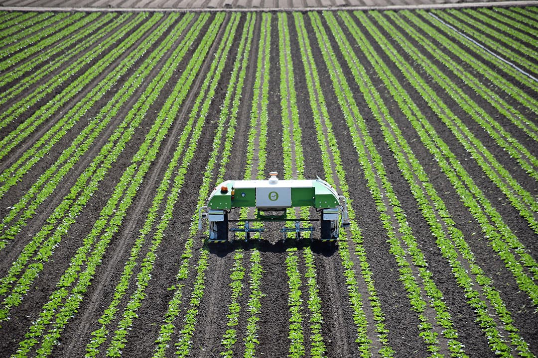 Bij de belangrijkste taken waar veldrobots voor worden ontwikkeld, staat bovenaan onkruidbestrijding in rijenculturen (inclusief boom-/wijngaarden). Soms via spot spraying, vaak ook mechanisch schoffelen vanwege maatschappelijke druk om te minderen met gewasbeschermingsmiddelen.