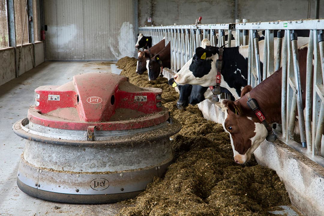Foto: Twan Wiermans