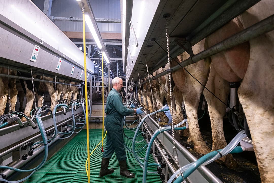 Foto: Jan Willem van vliet