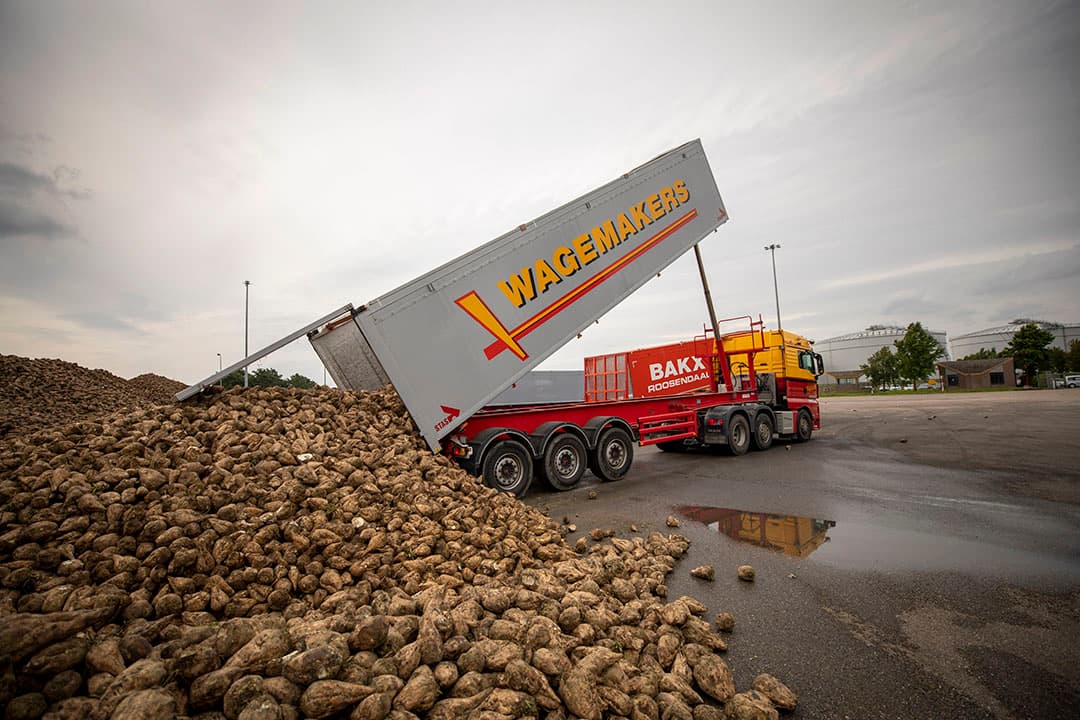 Foto: Roel Dijkstra
