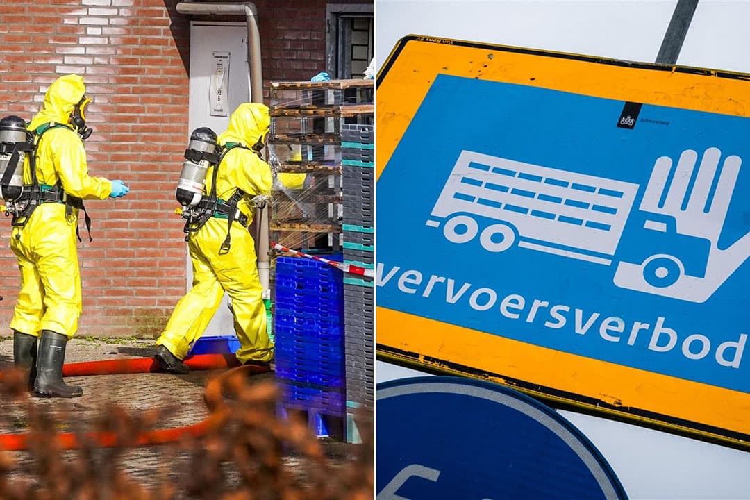 Foto: Bert Jansen/ANP