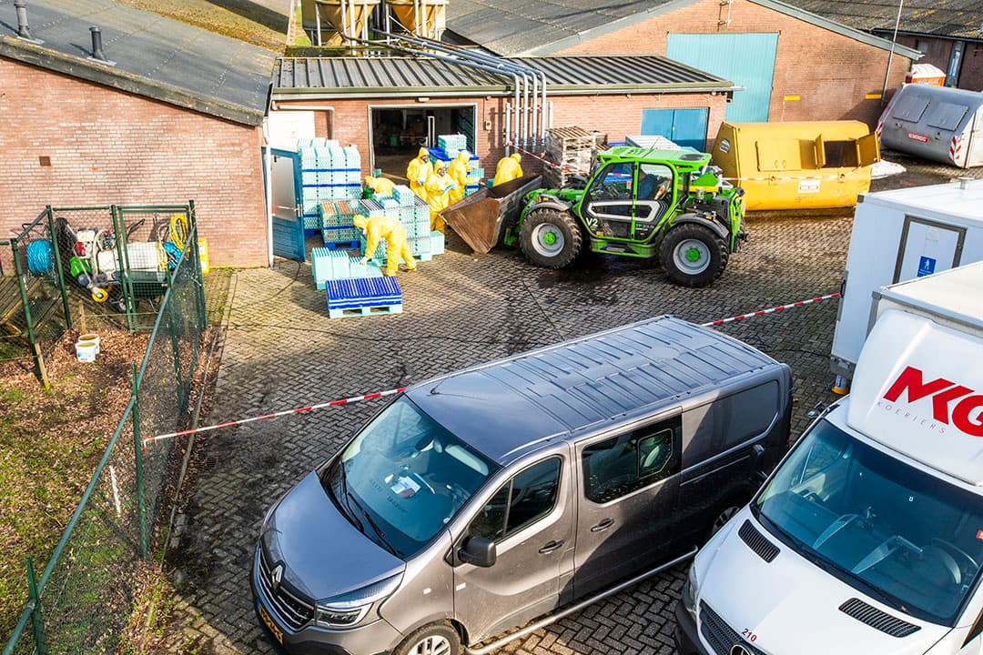 Afgelopen zaterdag werd bekend dat er op een leghennenbedrijf met 35.000 dieren in Sint-Oedenrode hoogpathogene vogelgriep is vastgesteld. Foto: Bert Jansen