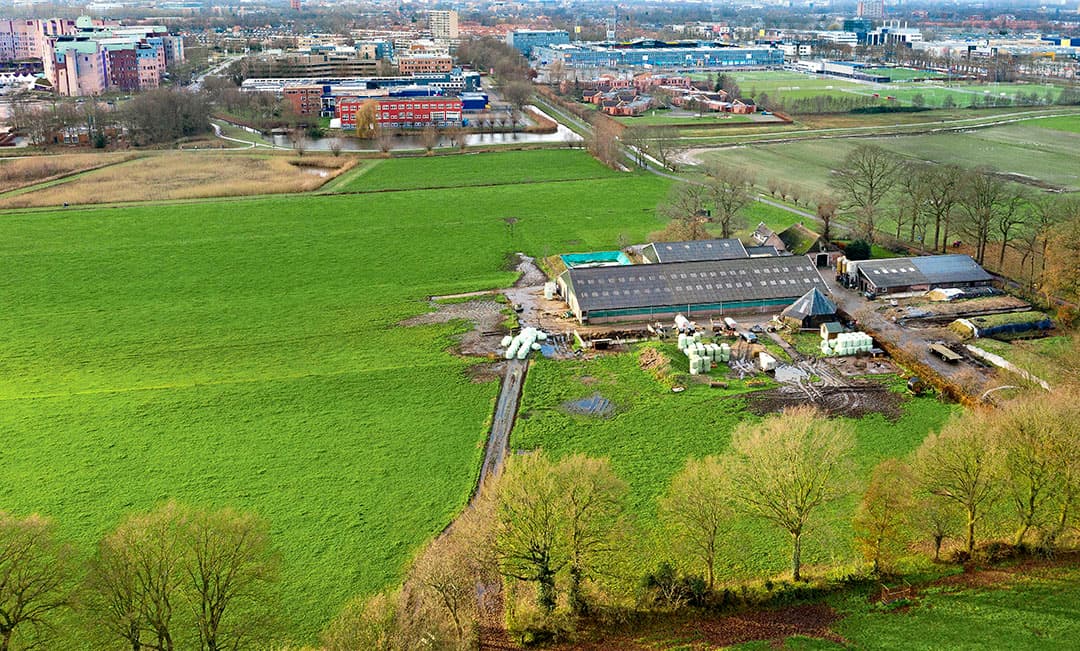 De korte keten van boer tot consument in één beeld gevat. Het melkveebedrijf van Harold van Vilsteren ligt bijna tegen de stad Zwolle aan. - Foto: Ruud Ploeg