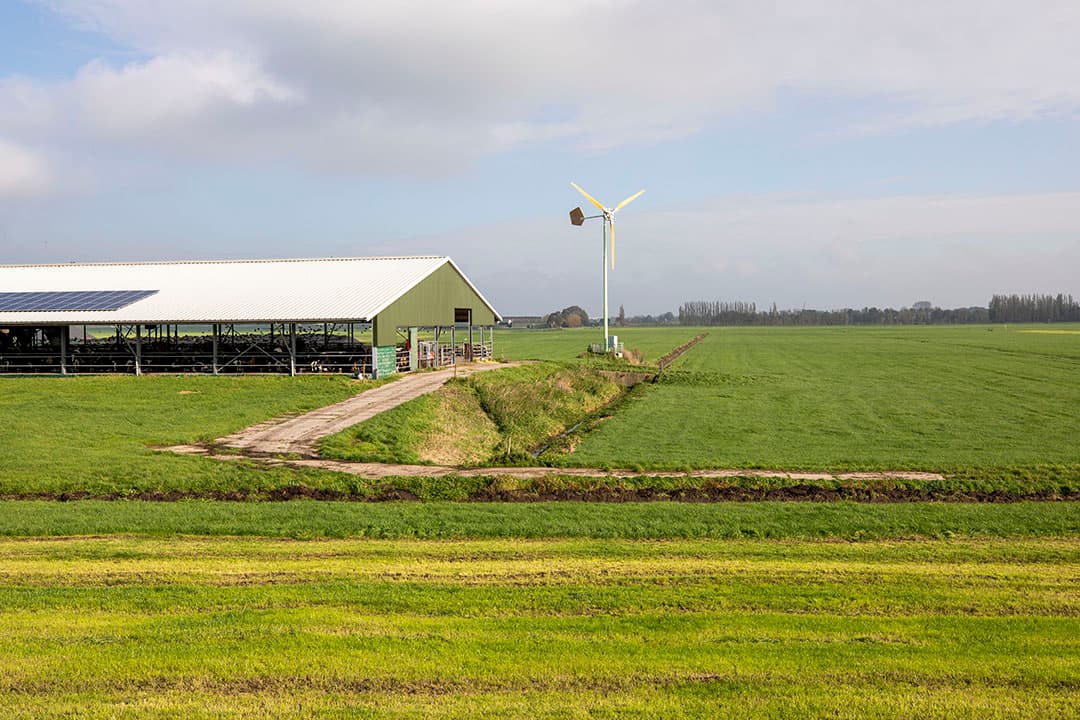 Foto: Roel Dijkstra