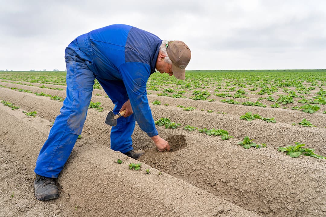 Foto: Jan Willem Schouten