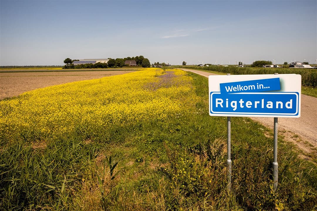 Juni 2020. Een akkerbouwer in Eemnes heeft samen met het Collectief Eemland om zijn akkers bloemenranden gezaaid. - Foto: Caspar Huurdeman / Hollandse Hoogte