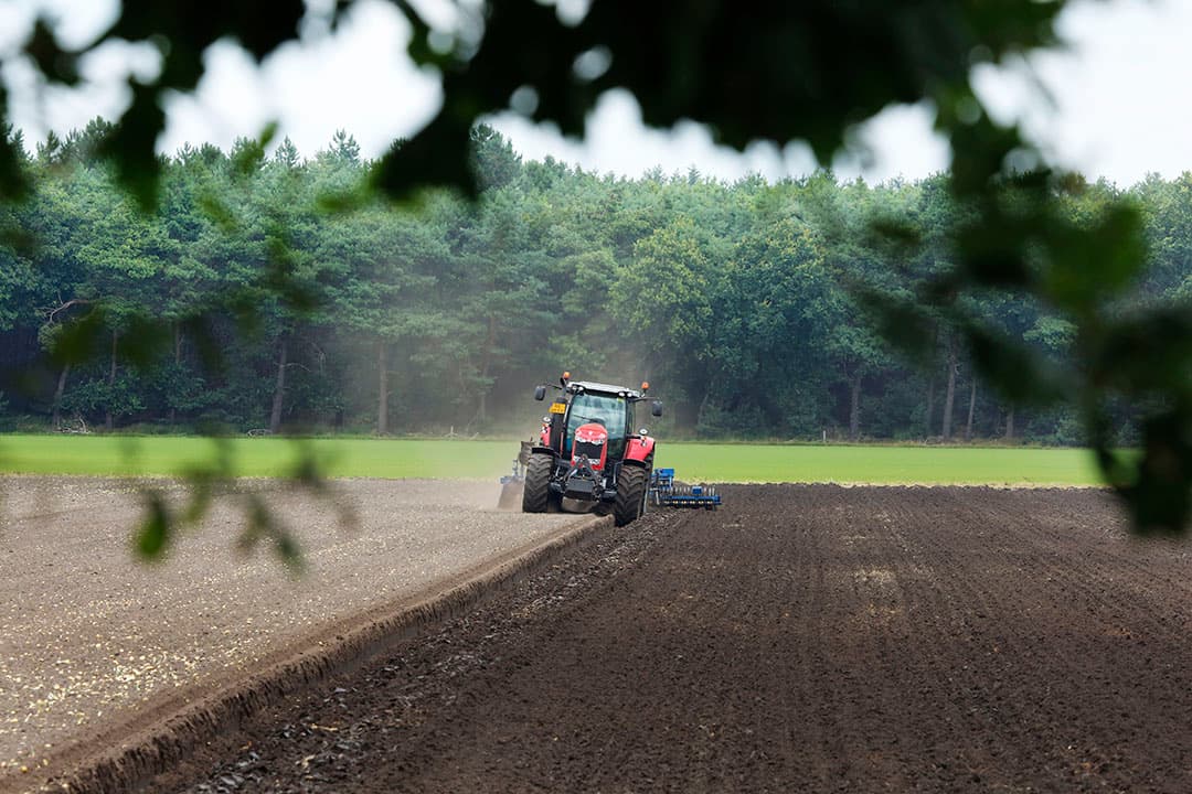 Foto: Henk Riswick