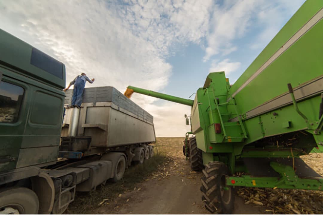 De graanproductie daalt onder andere door lagere maisproducties in de Verenigde Staten. - Foto: Canva