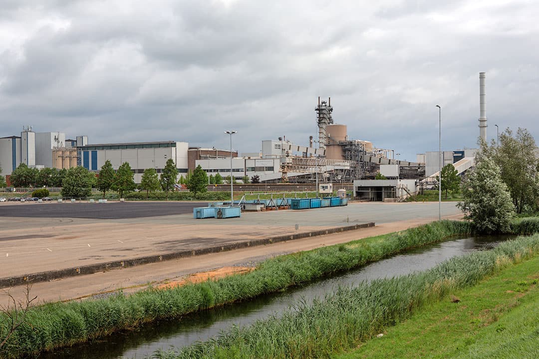 Foto: Peter Roek