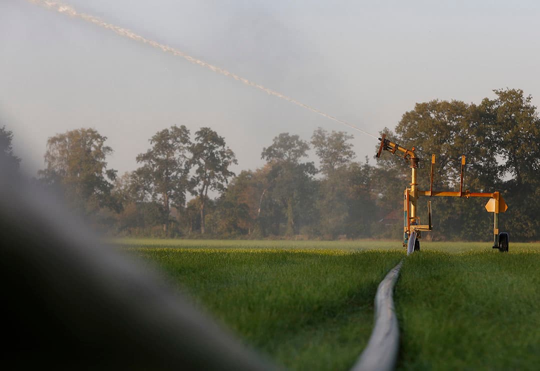 Foto: Hans Prinsen