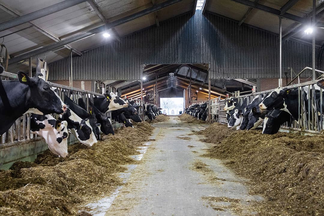 Foto: Herbert Wiggerman