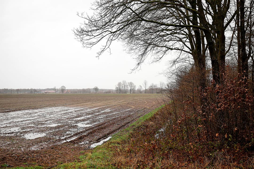 Foto: Hans Prinsen