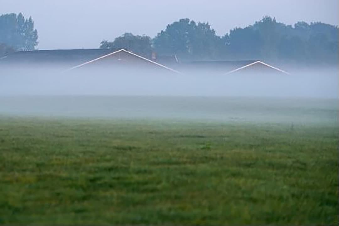 Foto: Canva / ijsbrandcosijnfotografie