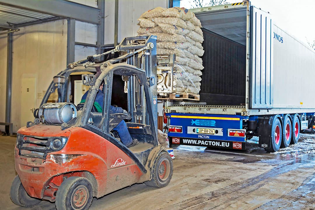 Pootgoed inladen voor export. Vooral België en het VK kochten veel meer. Foto: Koos van der Spek