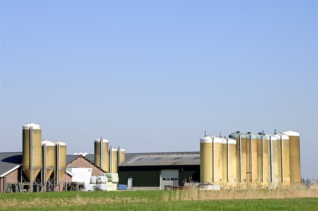 Varkensbedrijf in Brabant, op archiefbeeld. - Foto: ANP