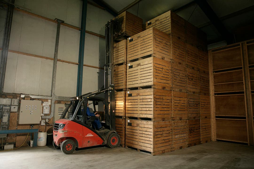 Foto: Jan Willem Schouten