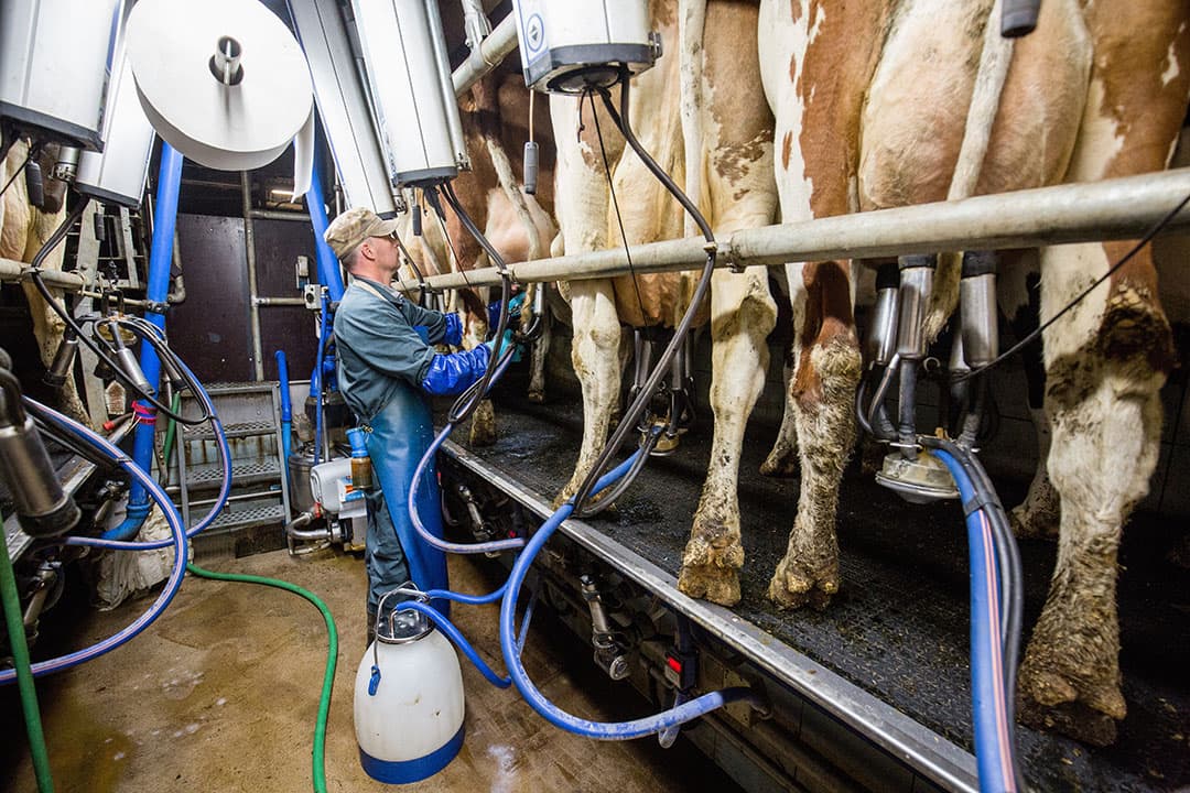 Foto: Herbert Wiggerman