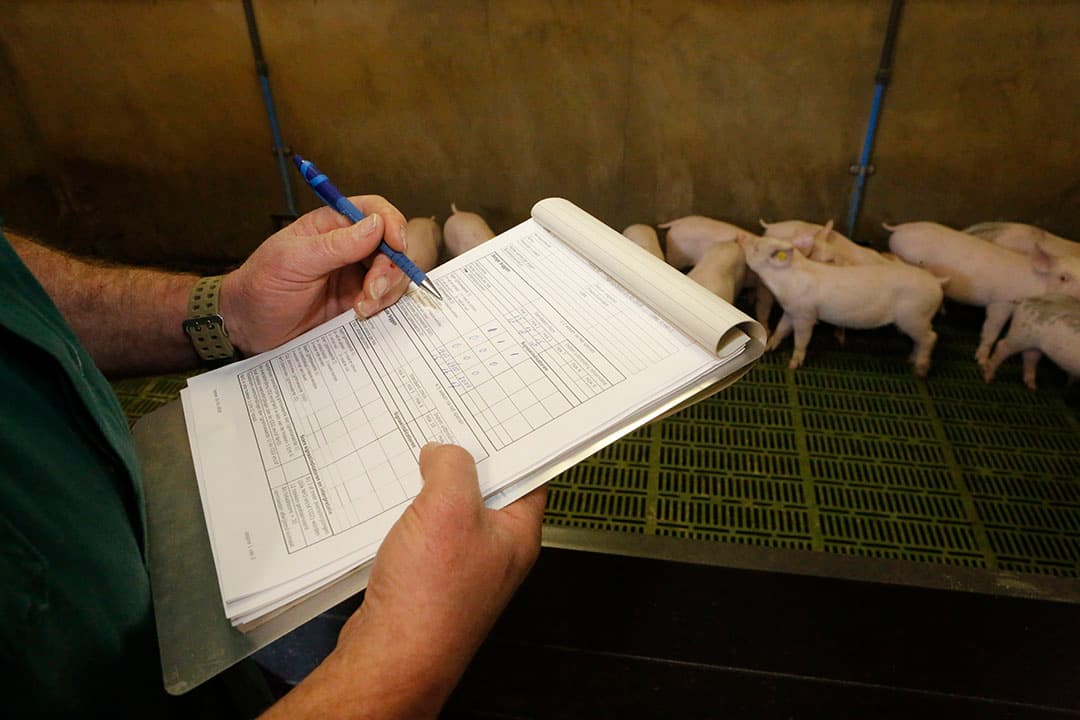 Controle stalklimaat. - Foto: Henk Riswick