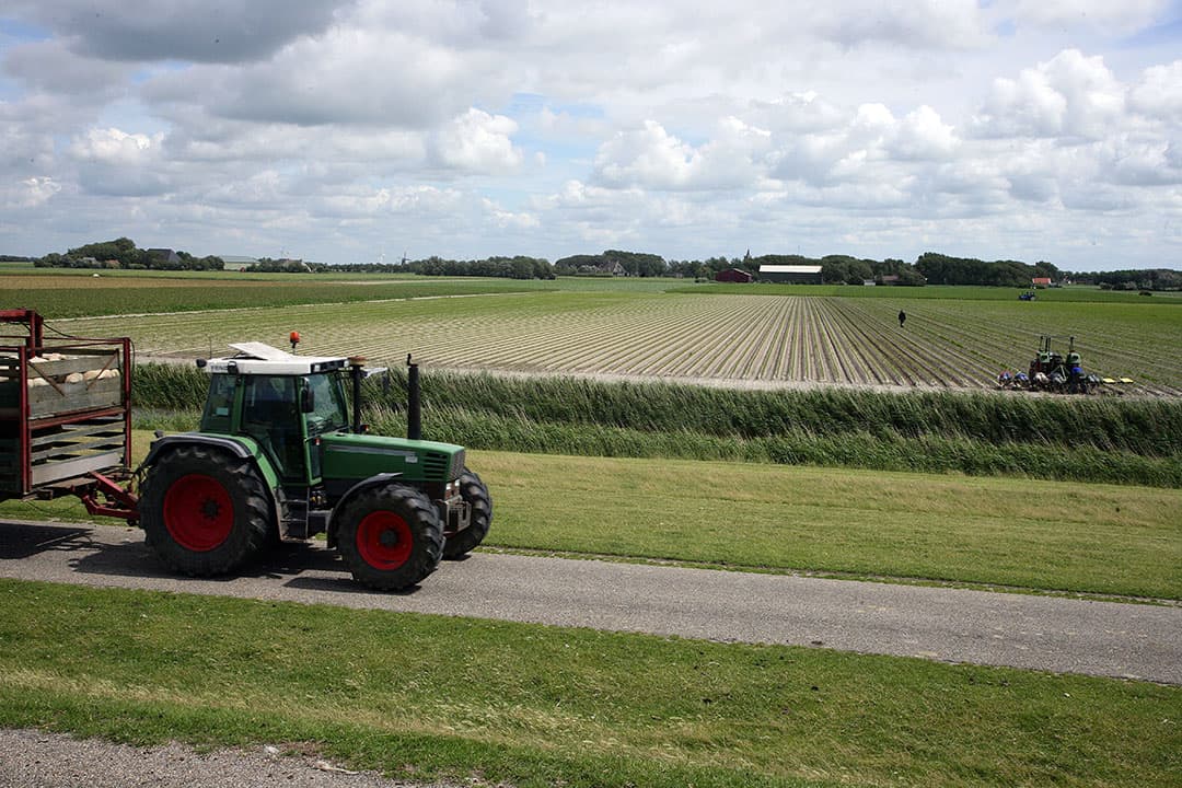 Foto: Hans Prinsen