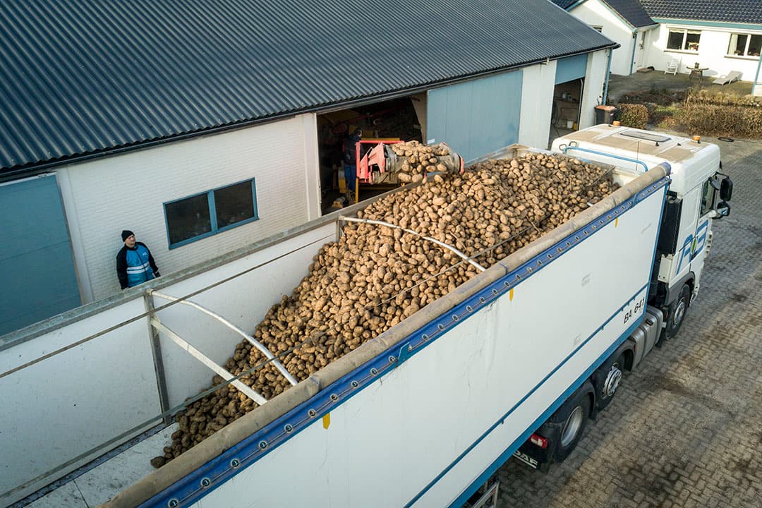 Foto: Koos Groenewold