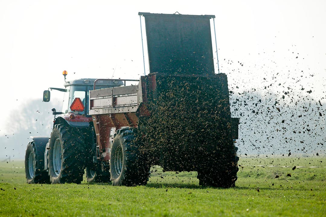 Foto: Koos Groenewold