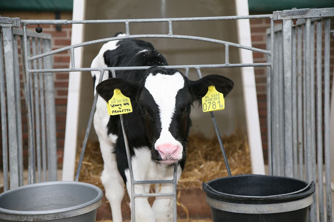 Foto: Boehringer Ingelheim
