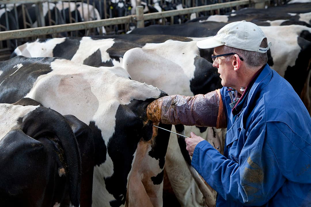 Foto: Jan Willem Schouten