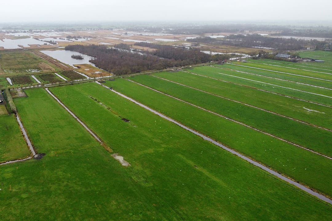 Foto: Herbert Wiggerman