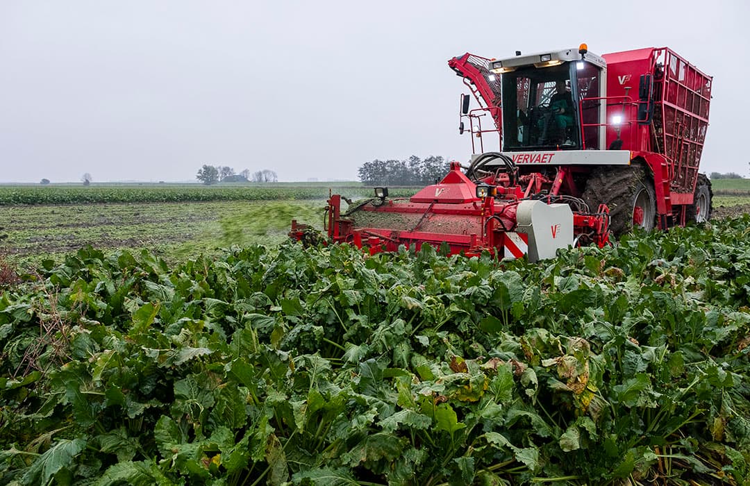 Foto: Jan Willem van Vliet