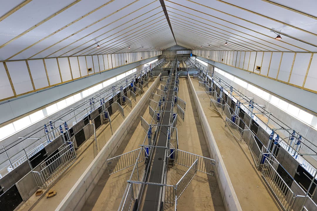 De nieuwe berenstal van Klasse KI waar de opnamen zijn gemaakt.