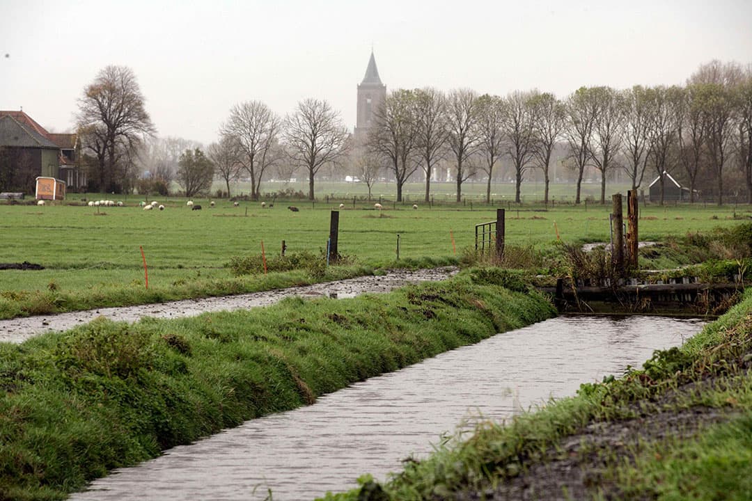 Foto: Koos Groenewold