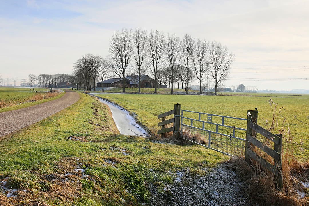 Zicht op een boerderij op Kampereiland/Kampen (Ov.). - Foto (ter illustratie): Ruud Ploeg