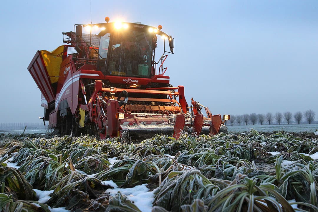 Foto: Peter Roek