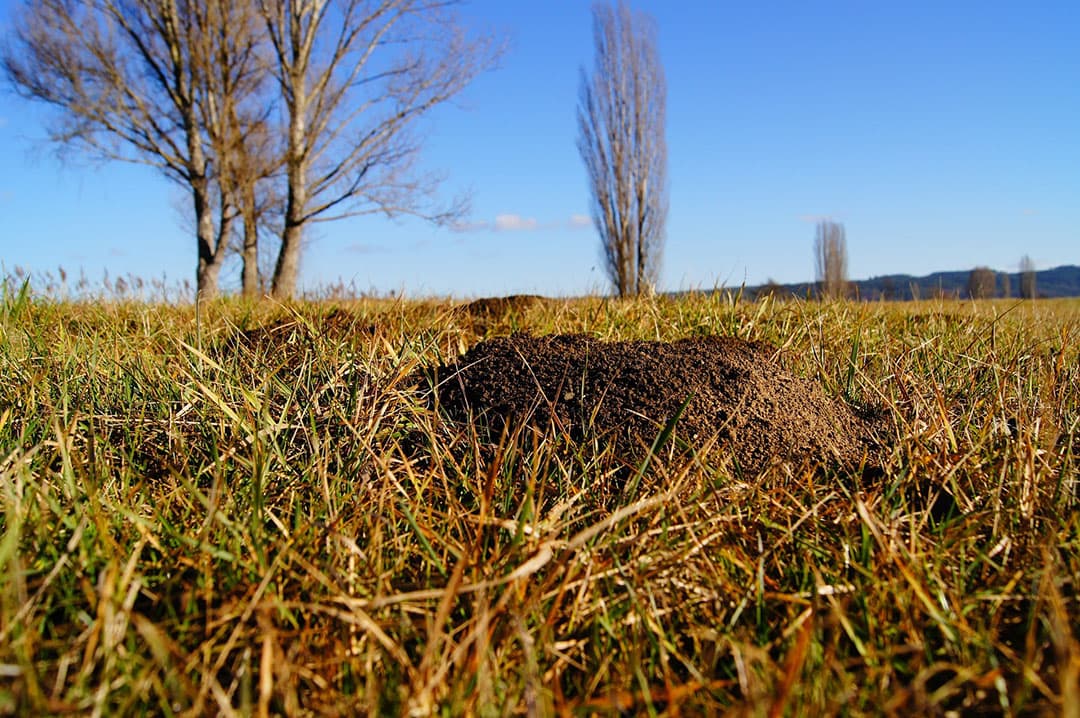 Foto: Margreet Welink